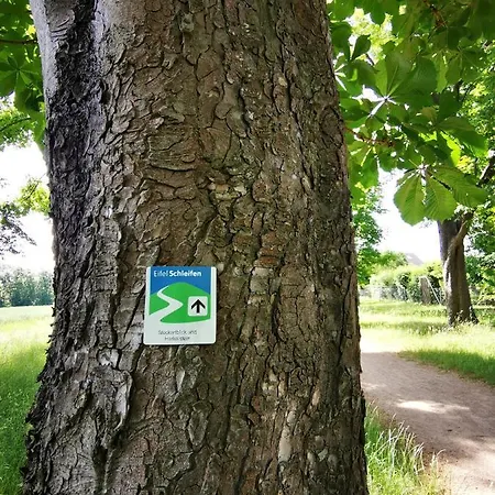 Апартаменты Ferienwohnung Talblick Dahlem *