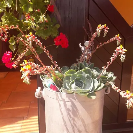 Apartment Ferienwohnung Talblick Dahlem